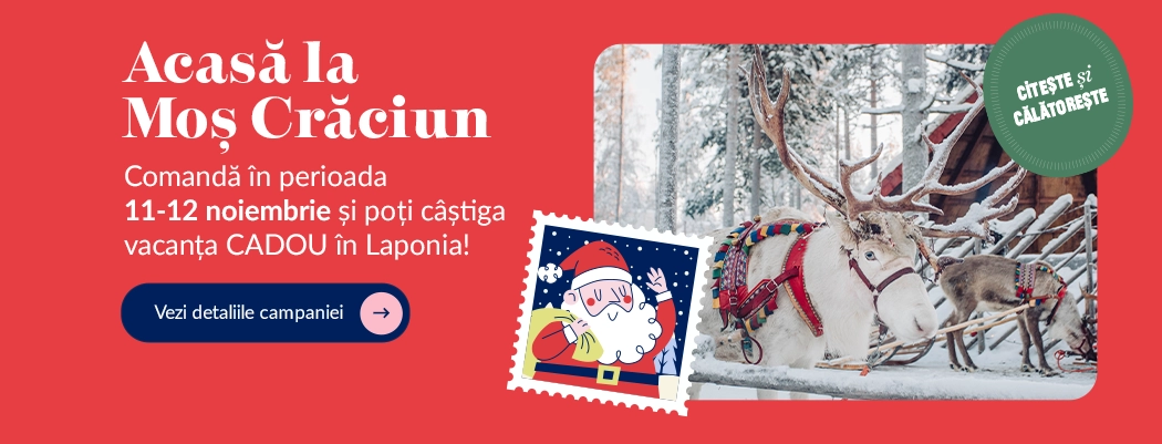 carusel laponia1b11nov25