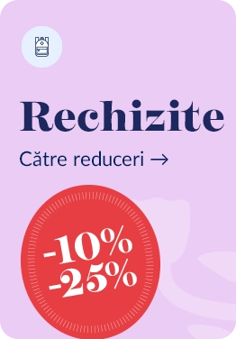 rechizite