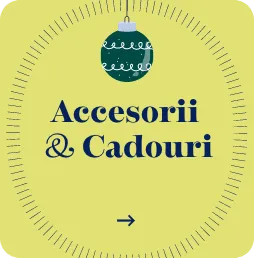 accesorii