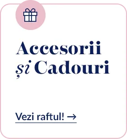 accesorii