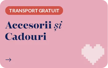 accesorii