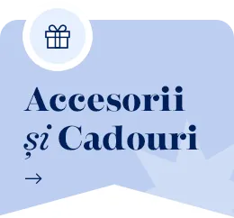 accesorii
