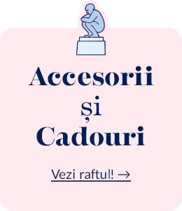 accesorii