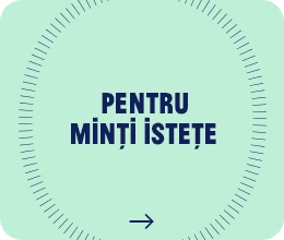 mintiistete