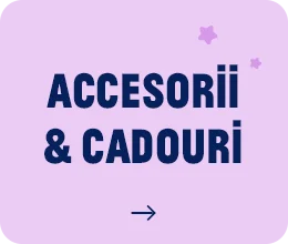 accesorii