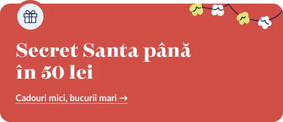 50 lei secret santa