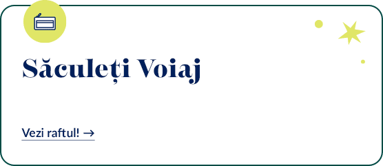 saculeti voiaj