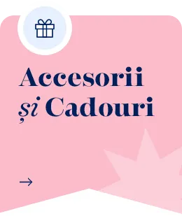 accesorii
