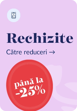 rechizite