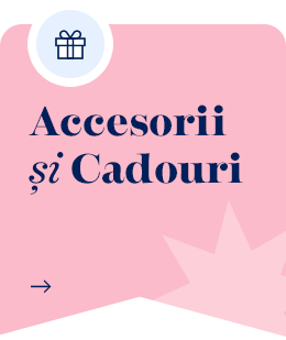 accesorii