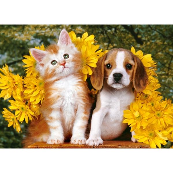Puzzle 108 Castorland - Kitten, Puppy and Flowers