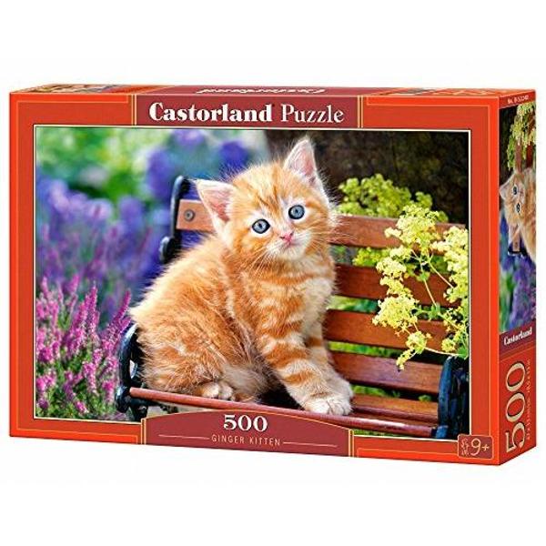 Puzzle 500 - Ginger kitten