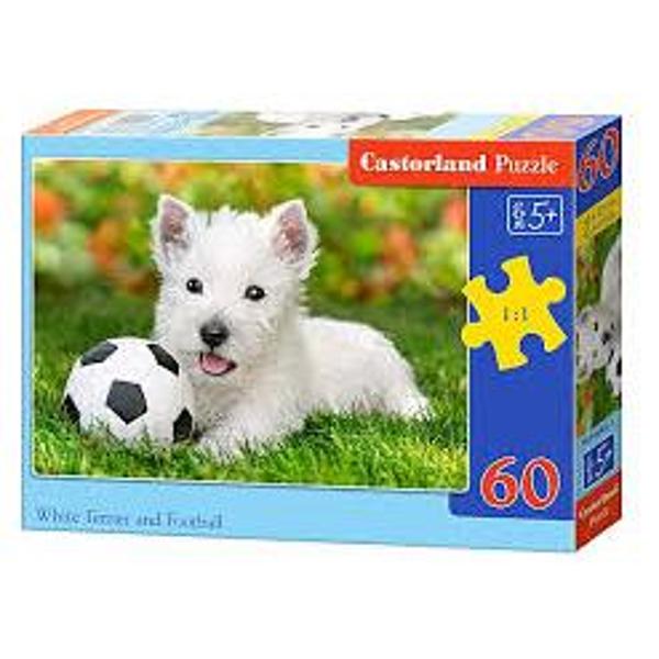 Puzzle 60 - White Terrier and football