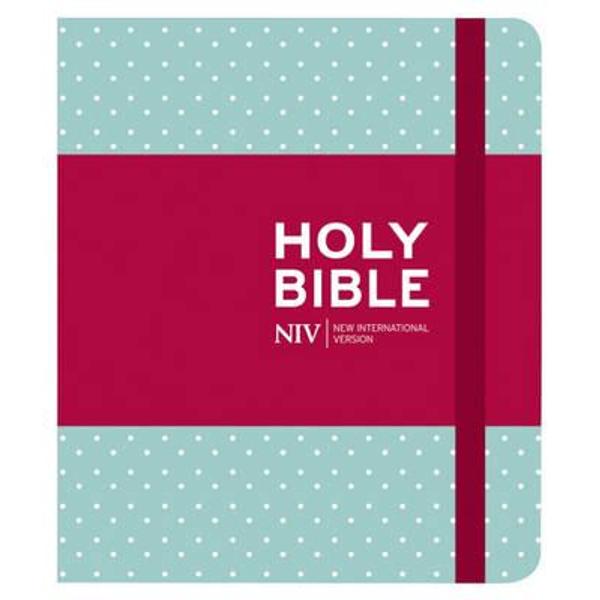 NIV Journalling Bible
