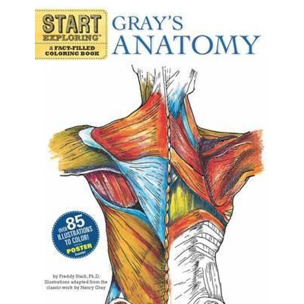 Start Exploring: Gray's Anatomy