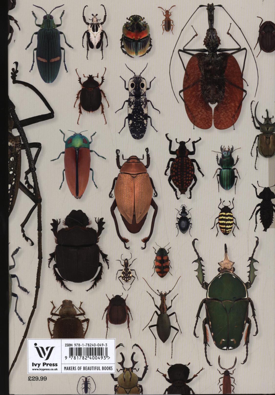 Book of Beetles