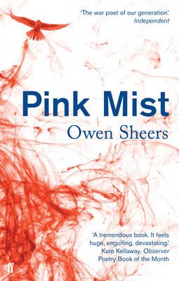 Pink Mist - Owen Sheers
