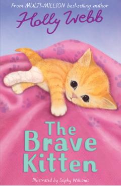 Brave Kitten