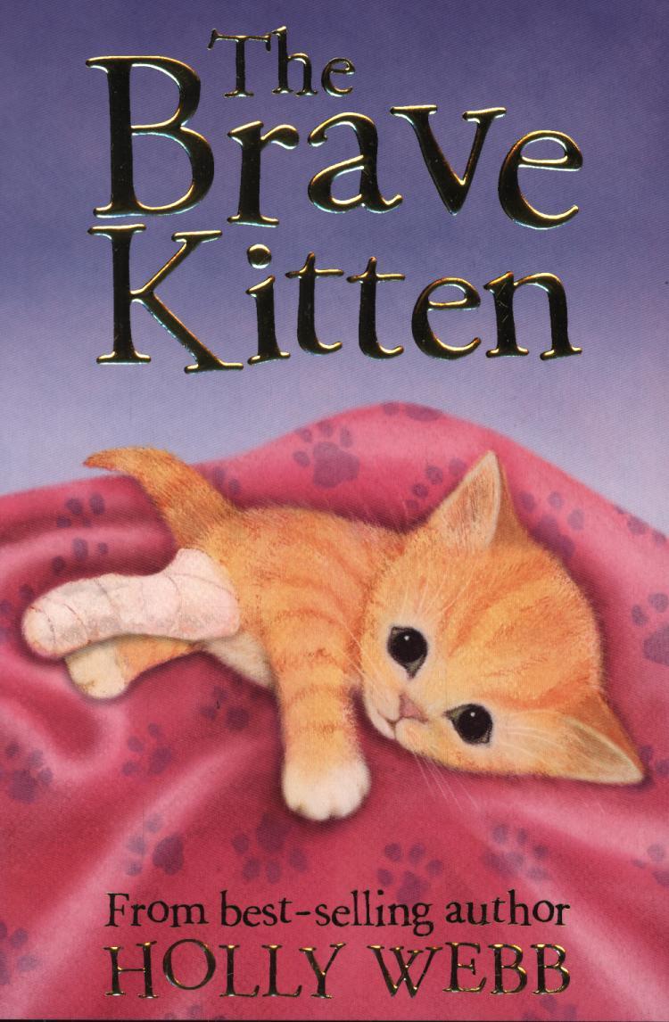 Brave Kitten