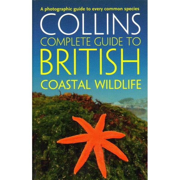 British Coastal Wildlife