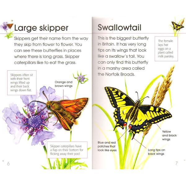 RSPB First Book of Butterflies and Moths