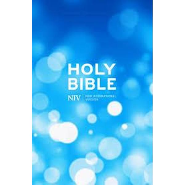 NIV Popular Bible
