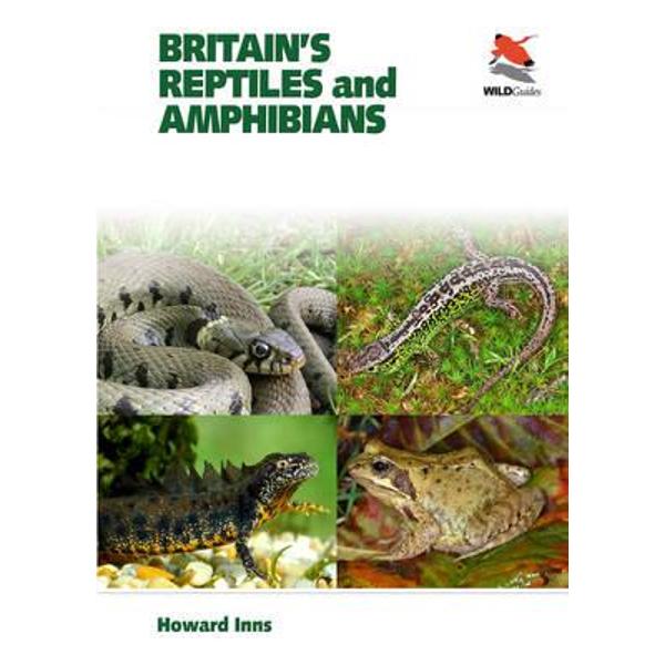 Britain's Reptiles and Amphibians
