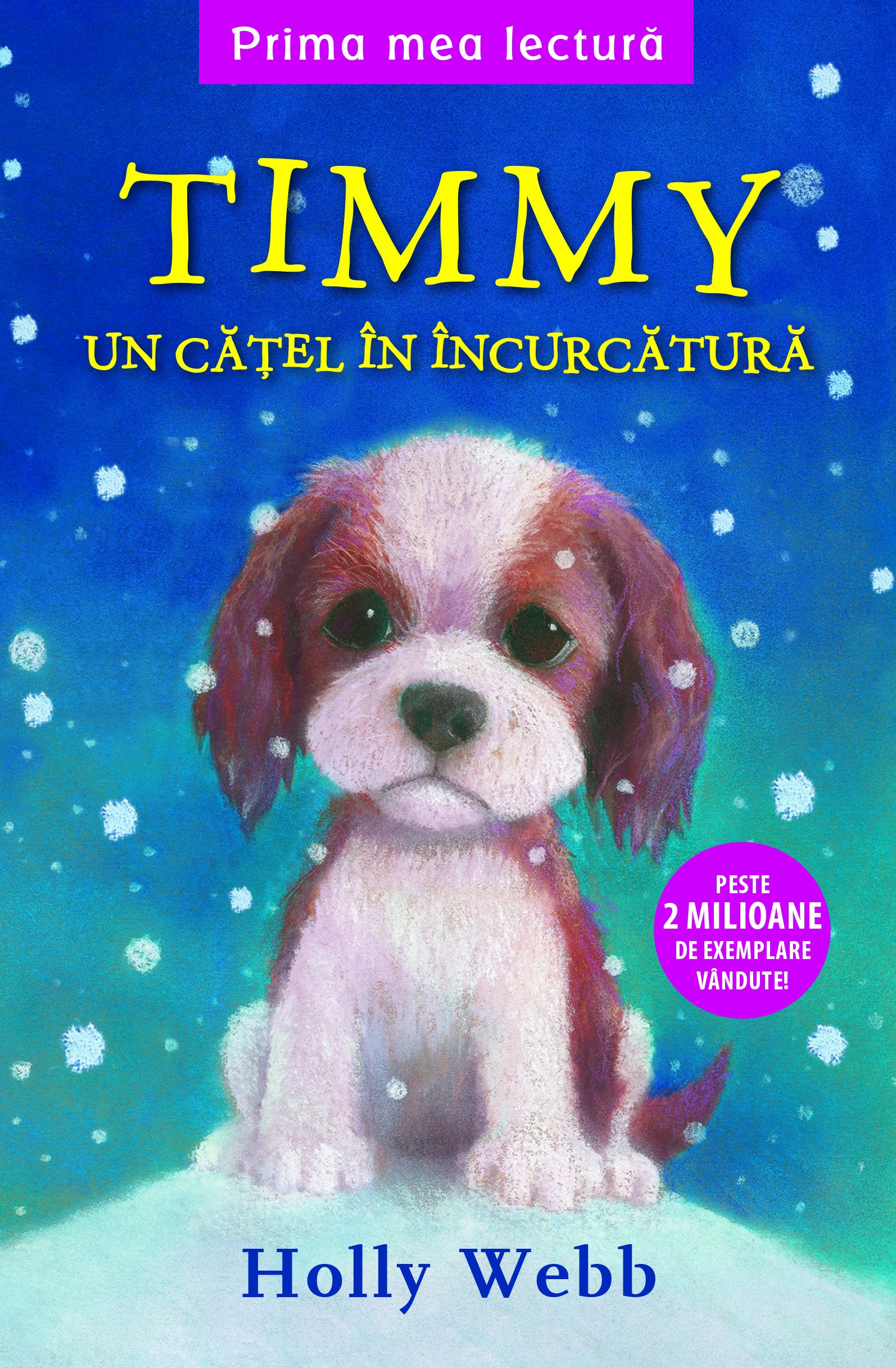 Timmy, un catel in incurcatura - Holly Webb