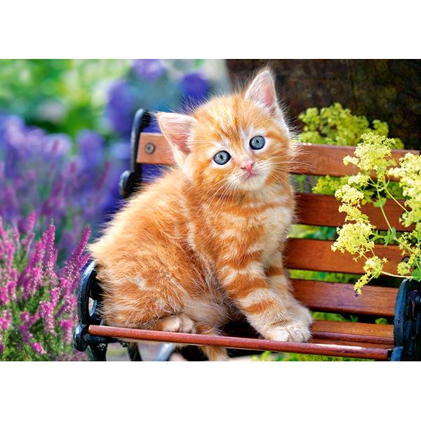Puzzle 180 Castorland - Ginger Kitten