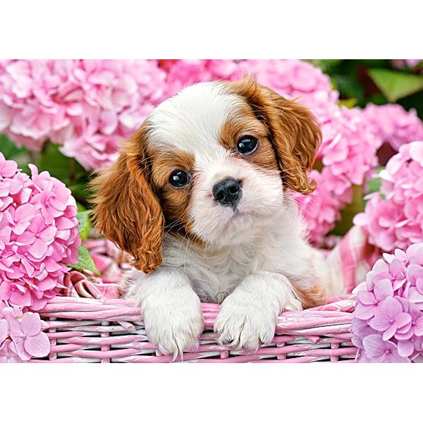 Puzzle 180 - Pup in pink flowers