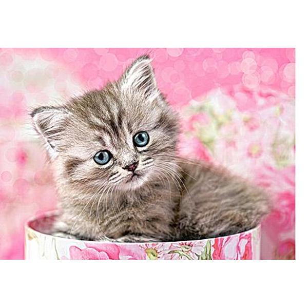 Puzzle 35 - Kitten in Box