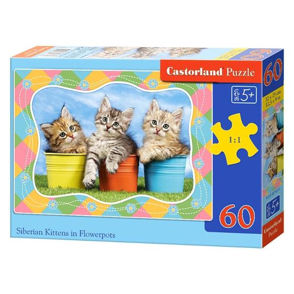 Puzzle 60 - Siberian Kittens in Flowerpots