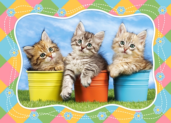 Puzzle 60 - Siberian Kittens in Flowerpots