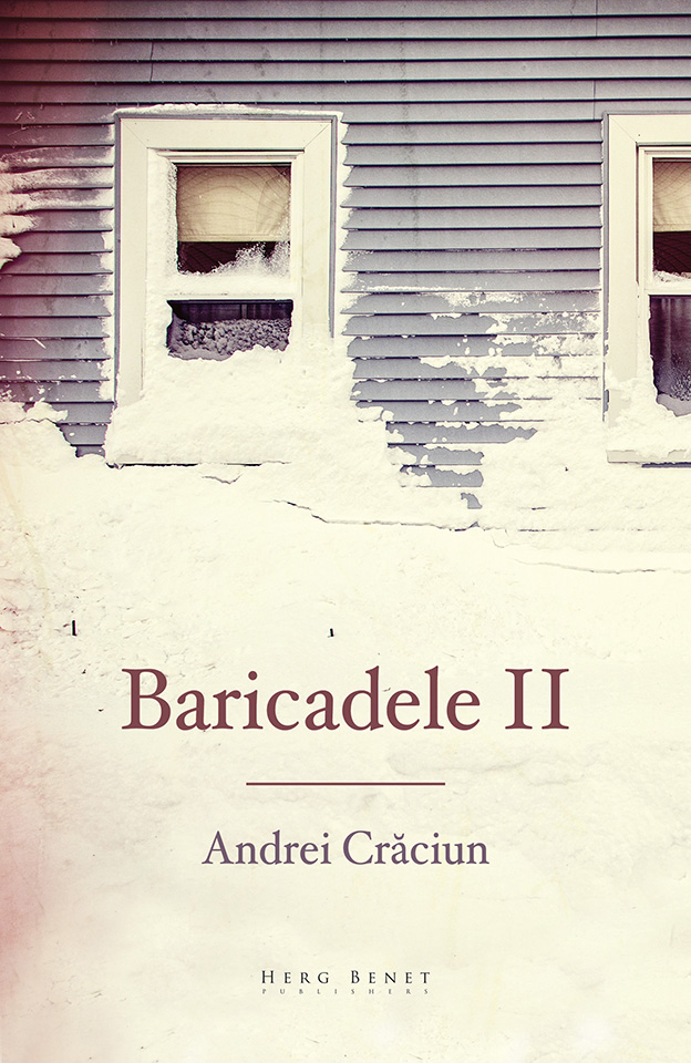 Baricadele II - Andrei Craciun