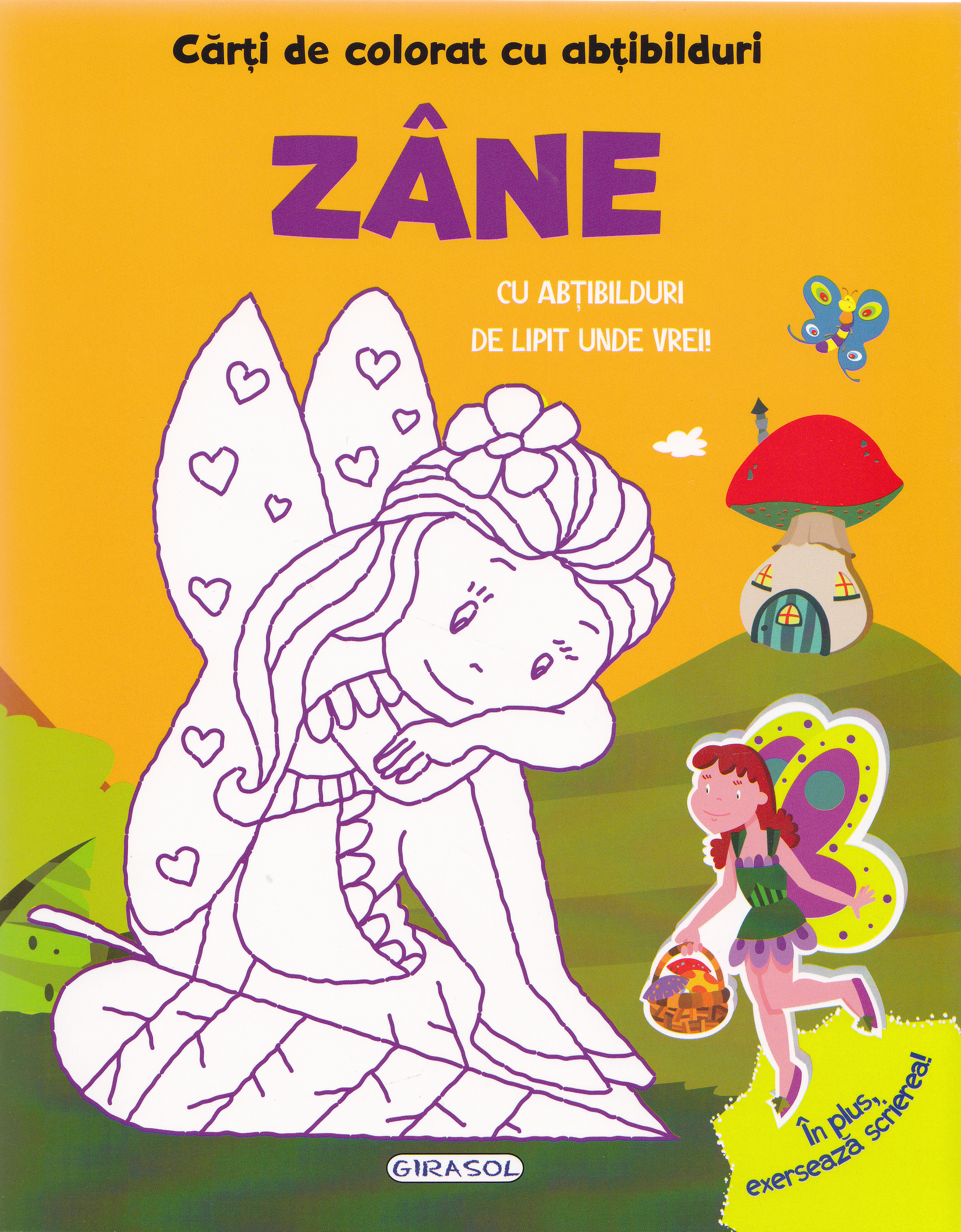 Carte de colorat cu abtibilduri - Zane