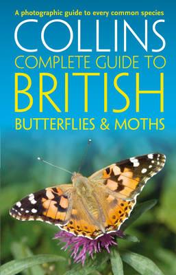 British Butterflies and Moths