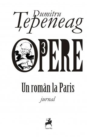 Opere 3: Un roman la Paris - Dumitru Tepeneag