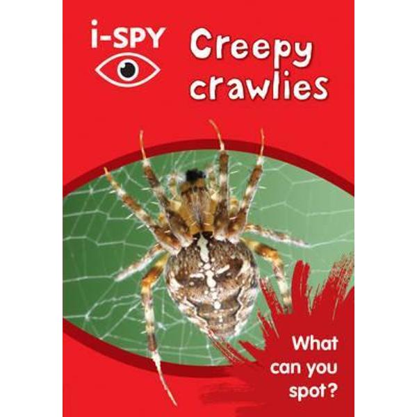 i-Spy Creepy Crawlies: What Can You Spot?