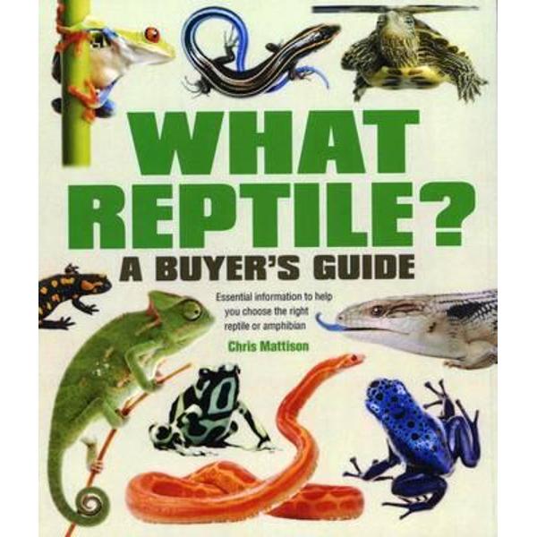 What Reptile? A Buyer's Guide