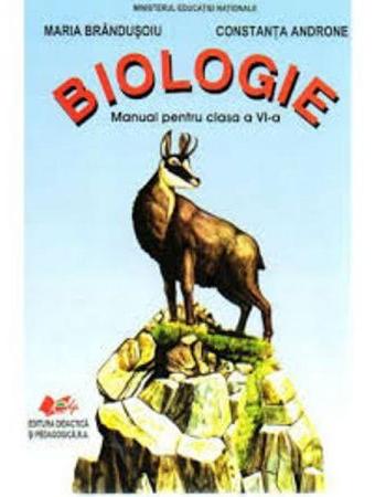 Biologie - Clasa 6 - Manual - Maria Brandusoiu, Constanta Androne