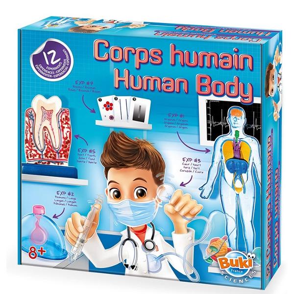 Human body. Corpul uman