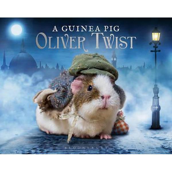 Guinea Pig Oliver Twist
