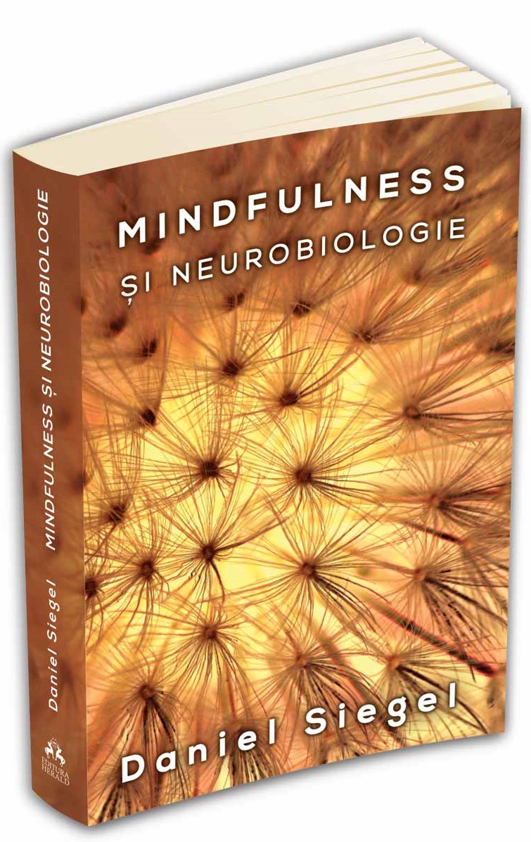 Mindfulness si neurobiologie - Daniel Siegel