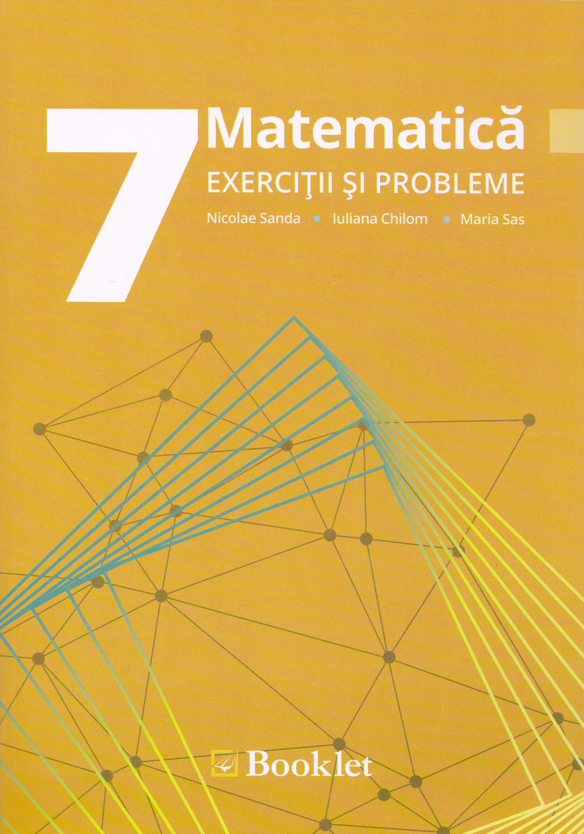 Matematica cls 7 Exercitii si probleme - Nicolae Sanda, Iuliana Chilom