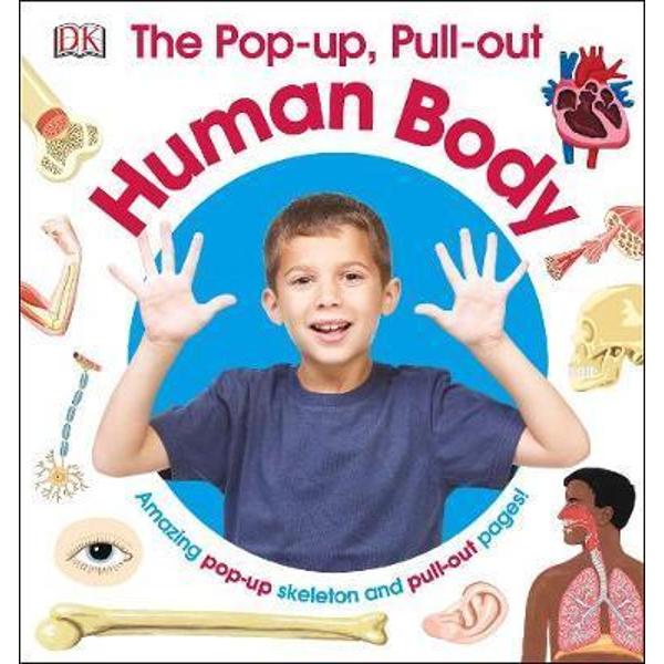 Pop-Up Pull Out Human Body