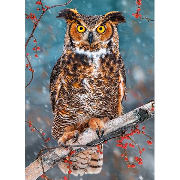 Puzzle 260 Castorland - Great horned owl