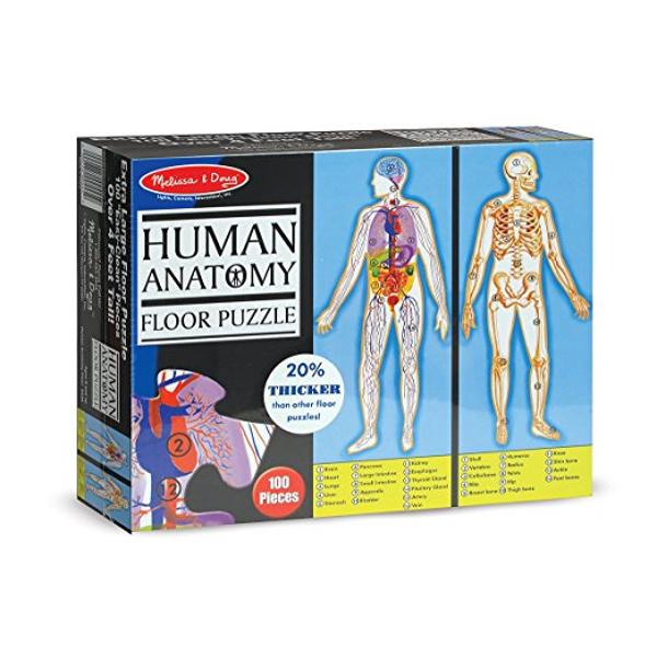 Floor puzzle, Human anatomy. Puzzle de podea, Corpul uman
