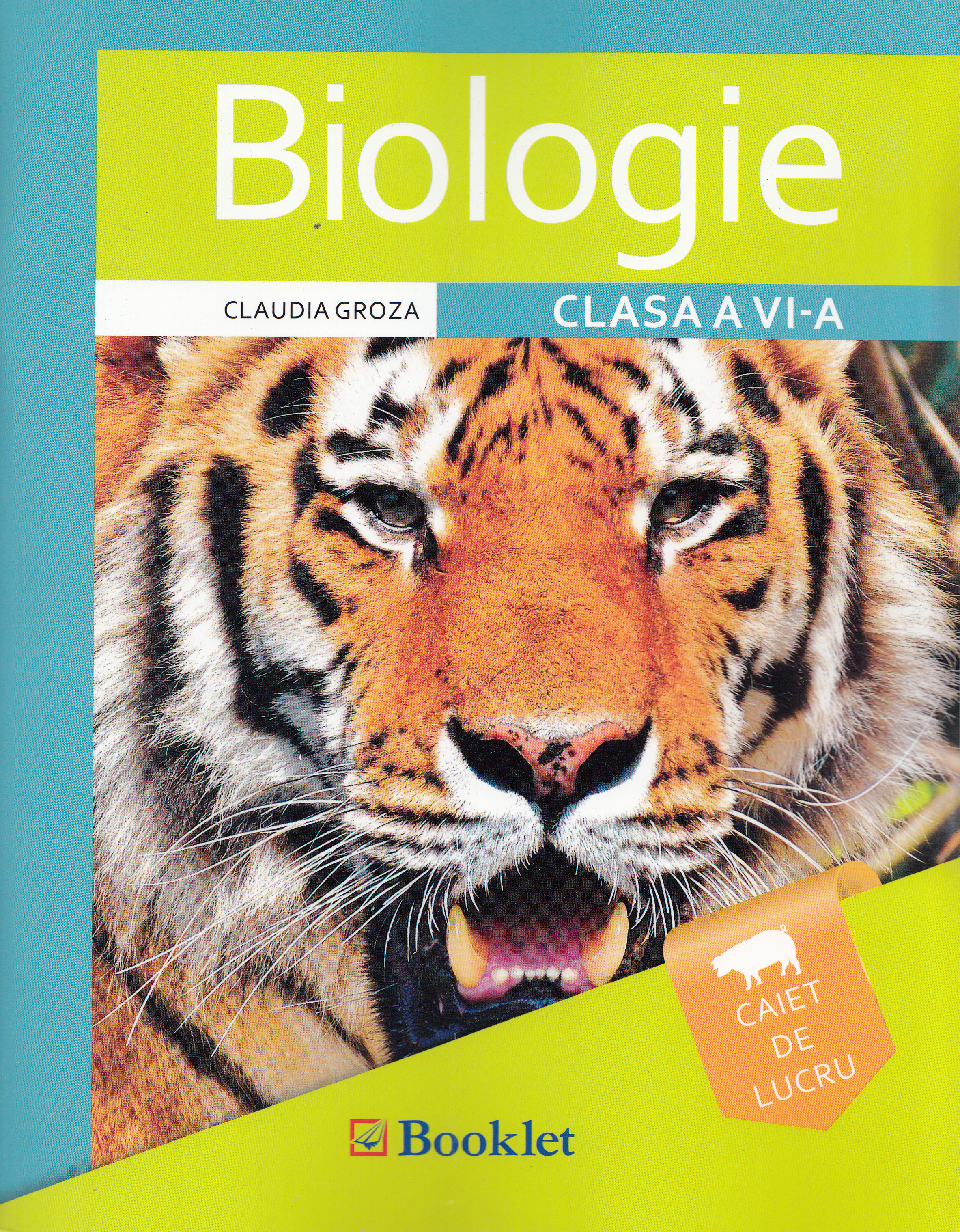 Biologie - Clasa a 6-a - Caiet de lucru - Claudia Groza