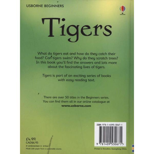 Beginners: Tigers