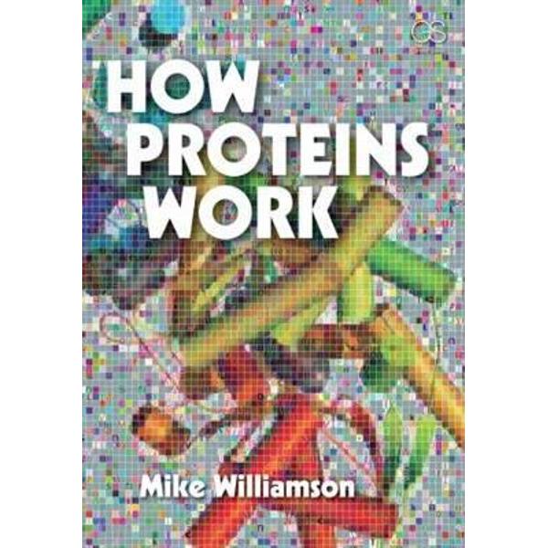 How Proteins Work